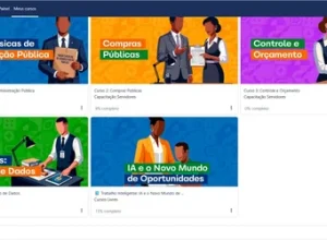 Cursos_69f8f6726e61a